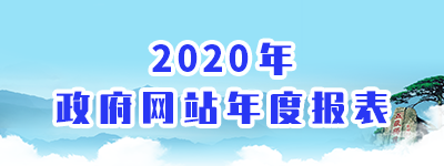 2020年政府网站年度报表