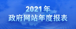 2021年政府网站年度报表